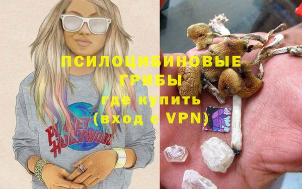 винт Нея
