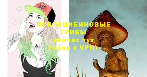 сатива Навашино
