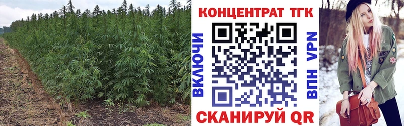 маркетплейс какой сайт  Нытва  Дистиллят ТГК концентрат 